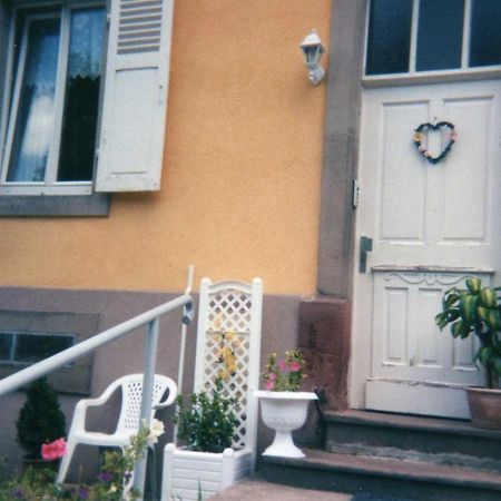 Les Hortensias Sainte-Marie-aux-Mines Exterior foto
