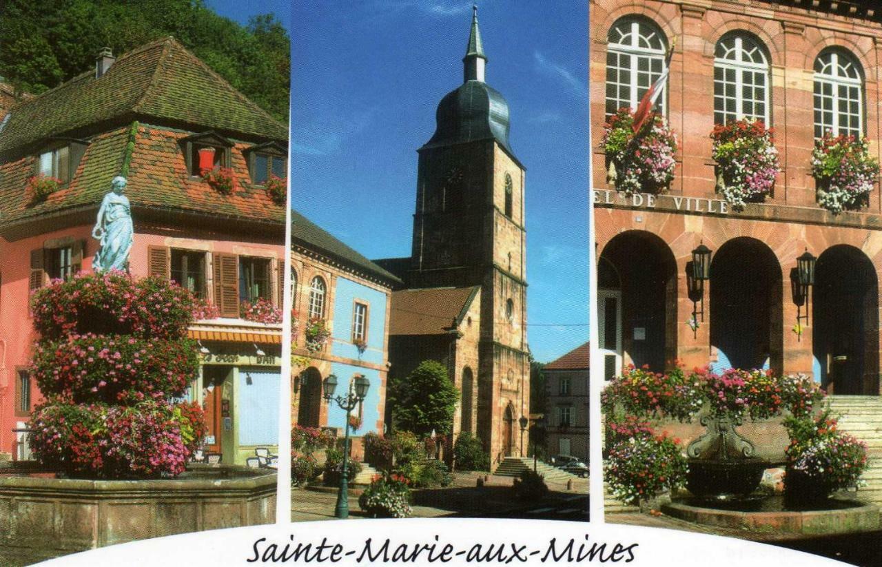 Les Hortensias Sainte-Marie-aux-Mines Exterior foto