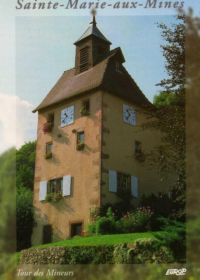Les Hortensias Sainte-Marie-aux-Mines Exterior foto